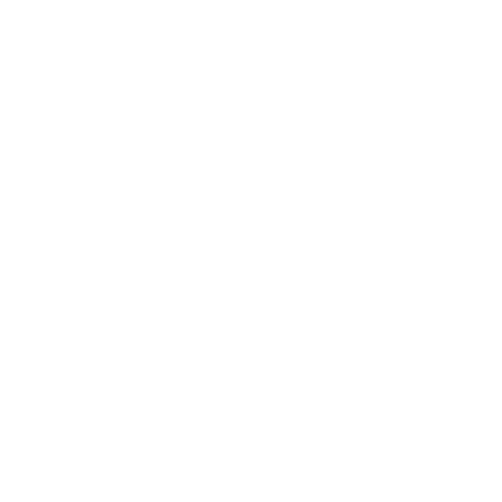 Experimento