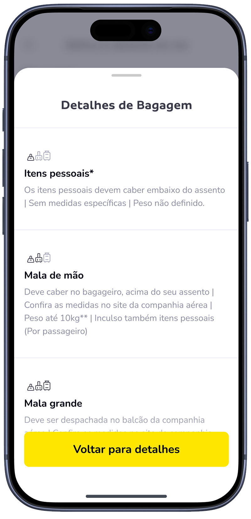 Baggage details on search